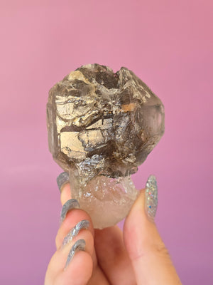 Elestial Smoky Quartz #12