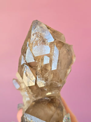 Elestial Smoky Quartz #26