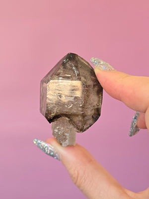 Elestial Smoky Quartz #37 - Enhydro