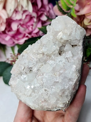 Apophylite Cluster