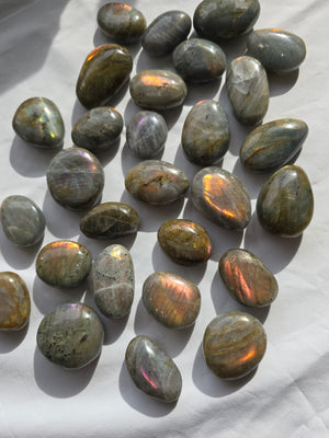 Labradorite Outcast- Small