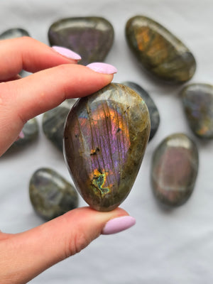 Labradorite Outcast- Medium