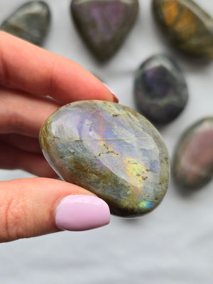 Labradorite Outcast- Medium