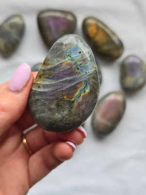 Labradorite Outcast- Medium